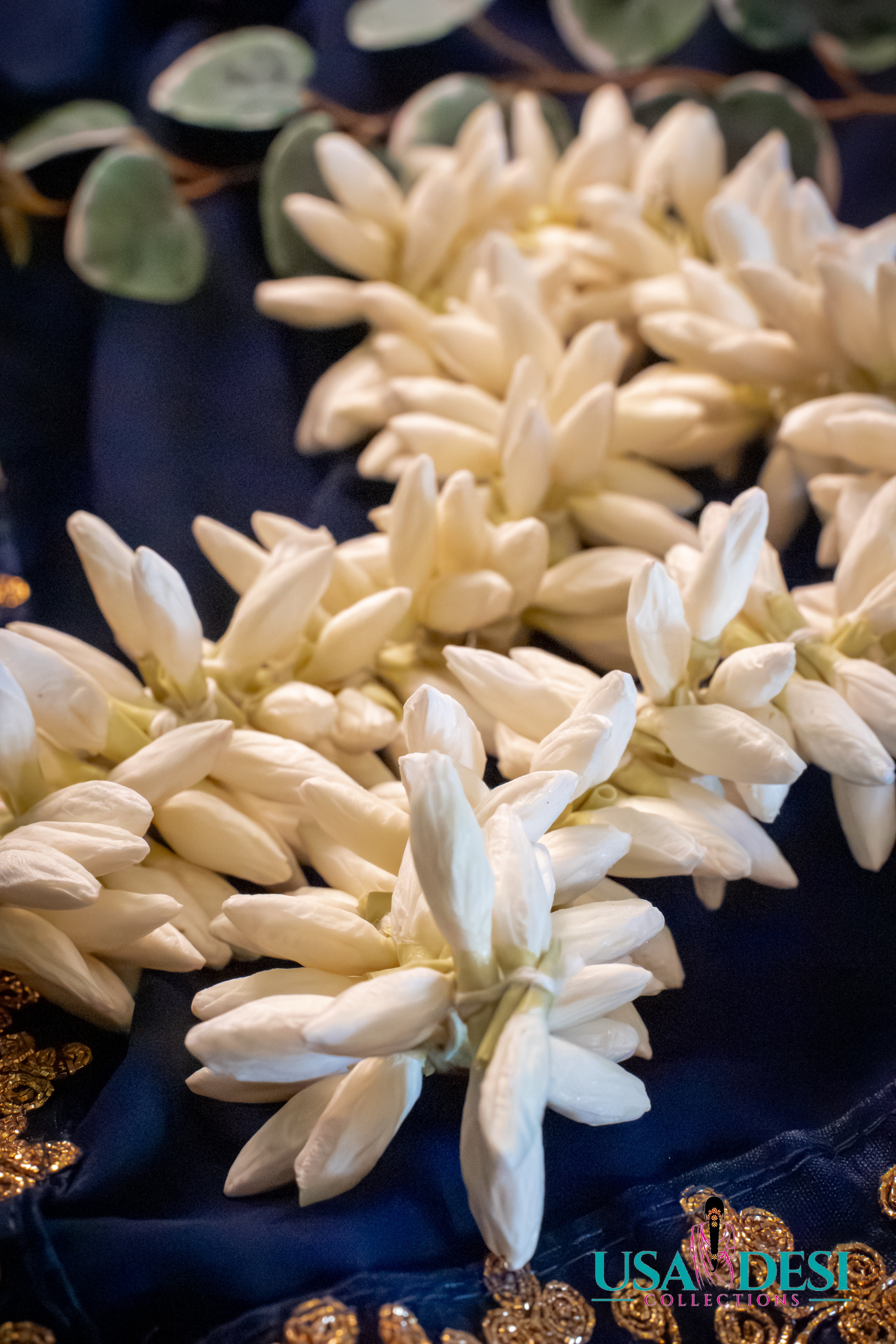 Mullai Bud